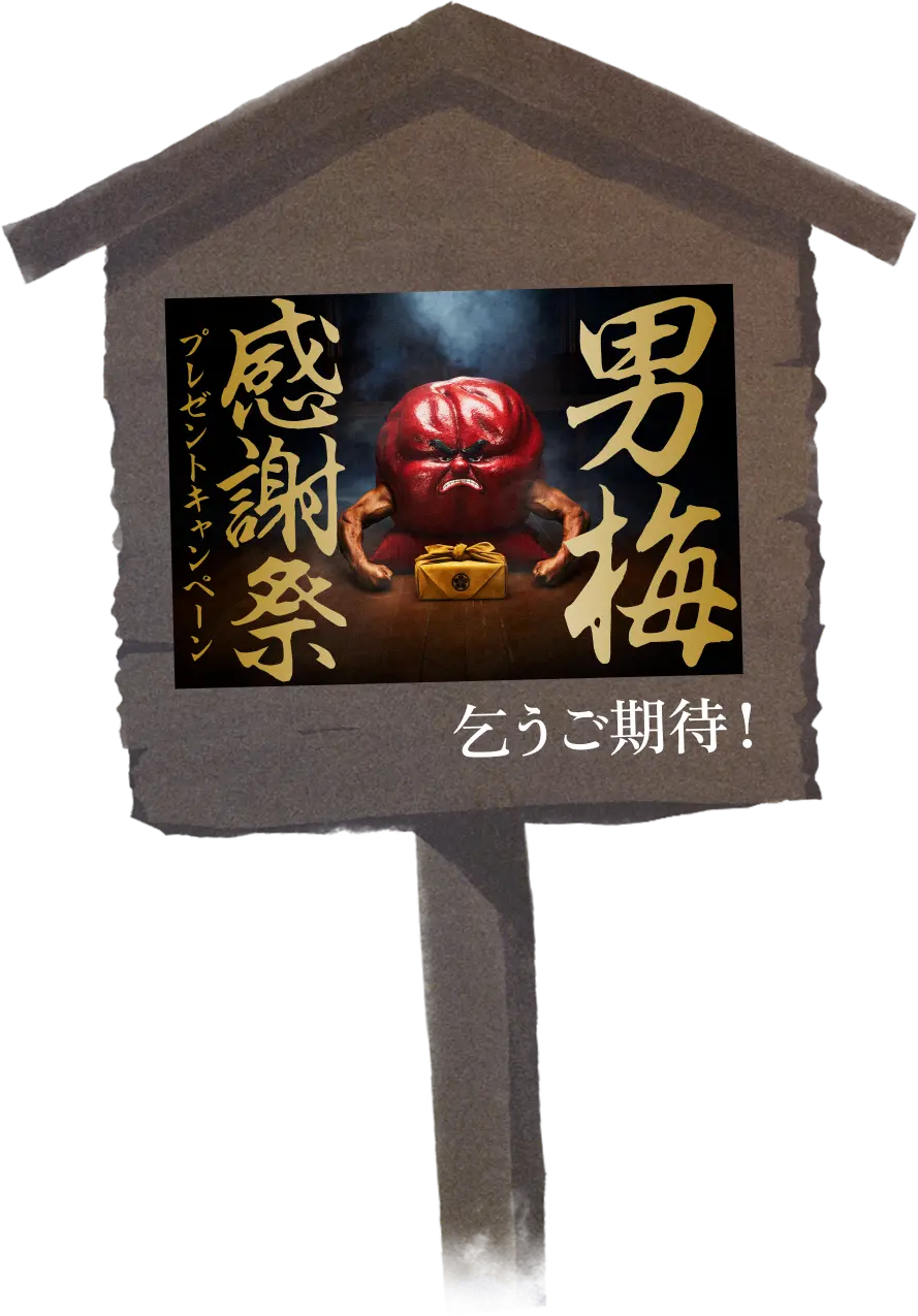 男梅｜ノーベル製菓株式会社