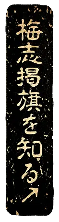 梅志掲旗を知る