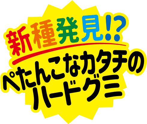 新種発見!? ぺたんこなカタチのハードグミ